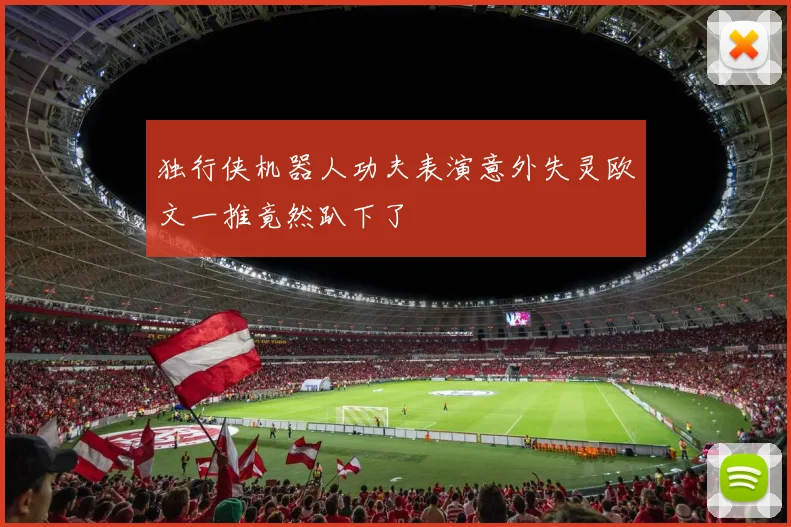 独行侠机器人功夫表演意外失灵欧文一推竟然趴下了