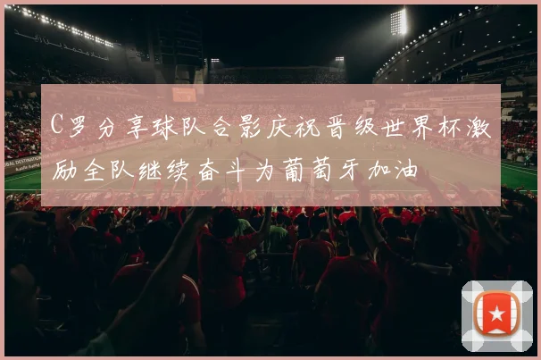 C罗分享球队合影庆祝晋级世界杯激励全队继续奋斗为葡萄牙加油